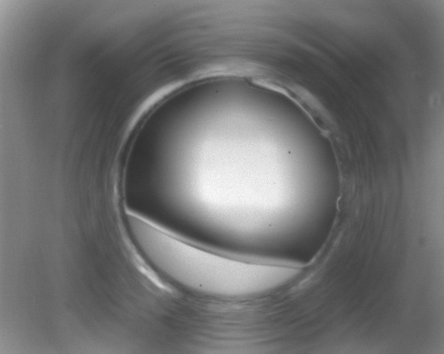 X0000083060846200702021034