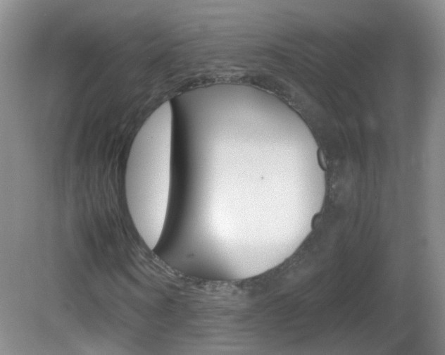 X0000083060866200702021033