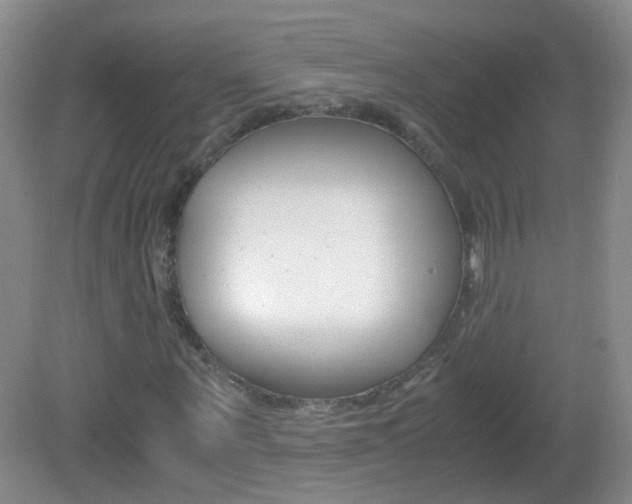 X0000083060867200702021033