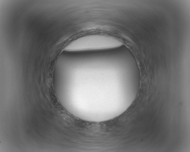 X0000083060869200702021033