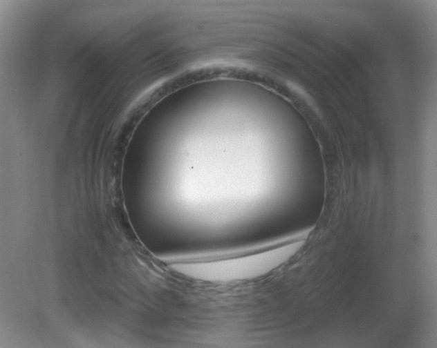 X0000083060872200702021033
