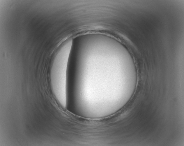 X0000083060873200702021033