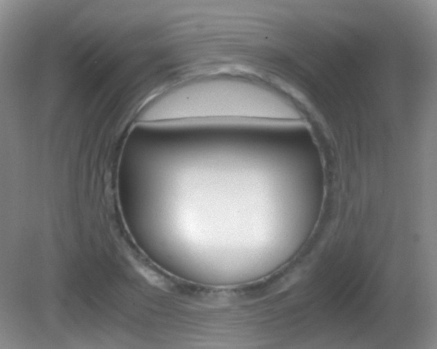 X0000083060881200702021033