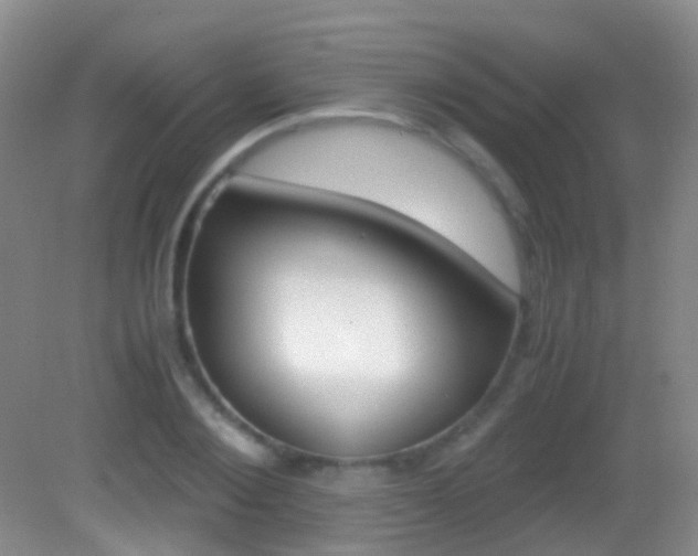 X0000083060884200702021033