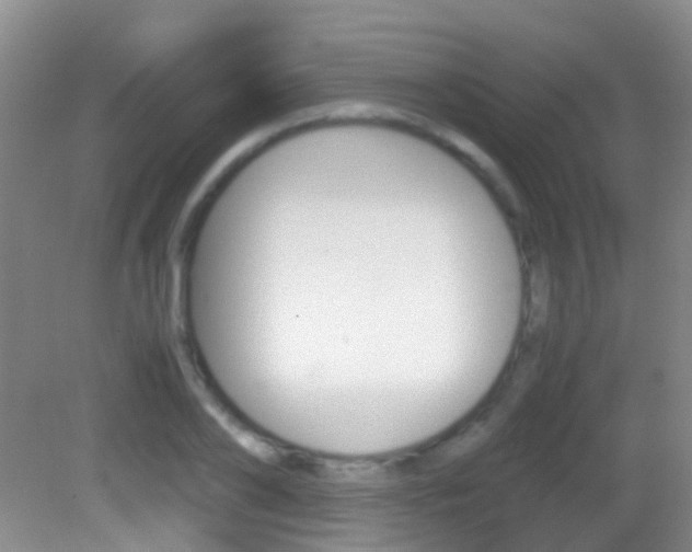 X0000083060886200702021033