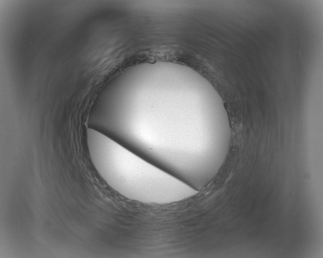 X0000083060913200702021032