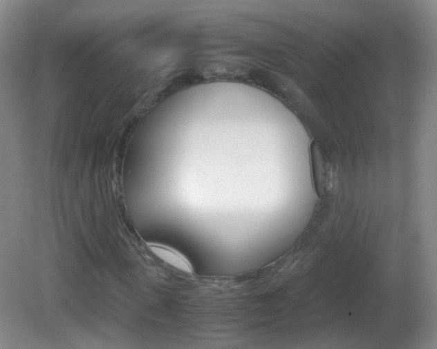 X0000083060915200702021032