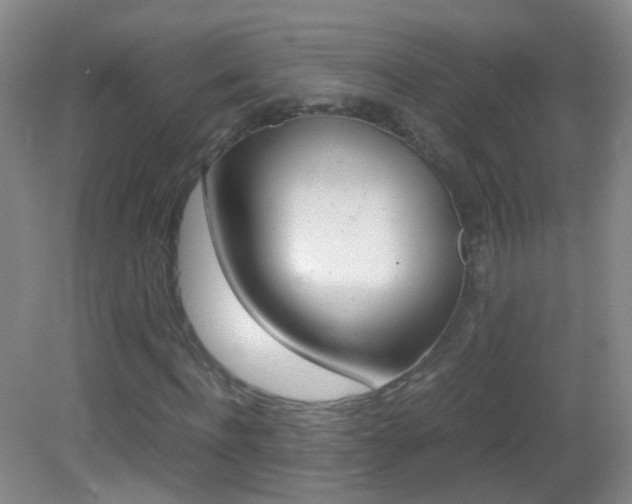 X0000083060916200702021032