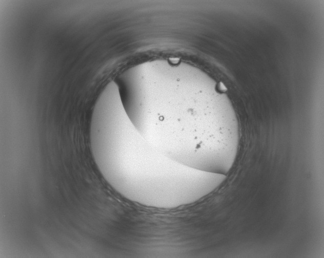 X0000083060918200702021032