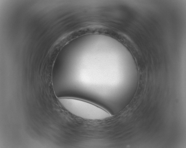 X0000083060919200702021032