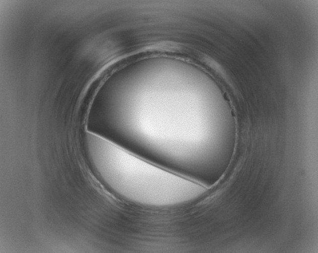 X0000083060923200702021032