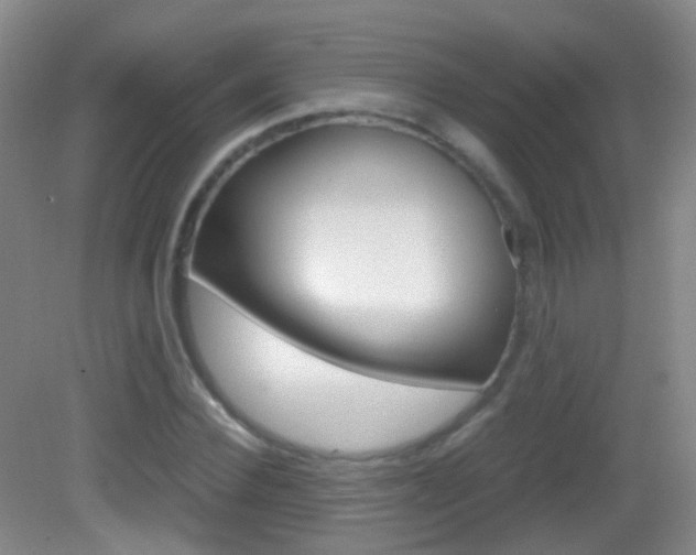 X0000083060924200702021032