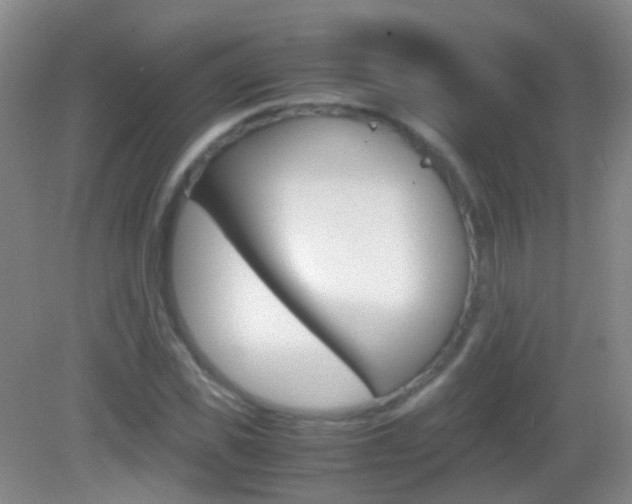 X0000083060925200702021032