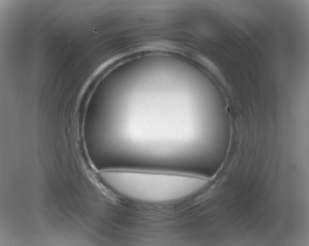 X0000083060931200702021032