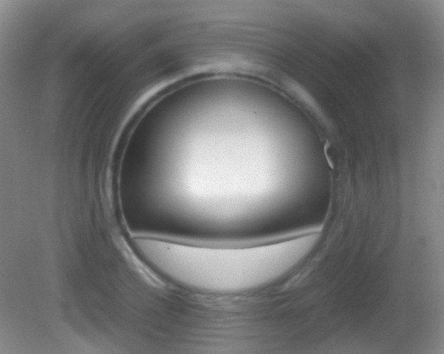 X0000083060932200702021032