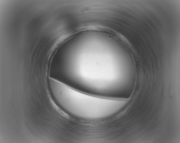 X0000083060938200702021032