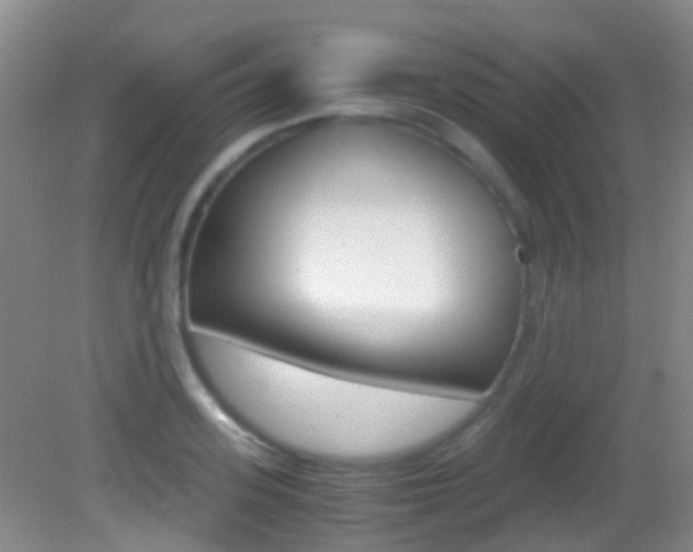 X0000083060939200702021032