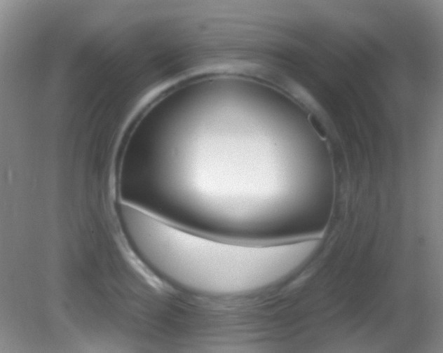 X0000083060940200702021032