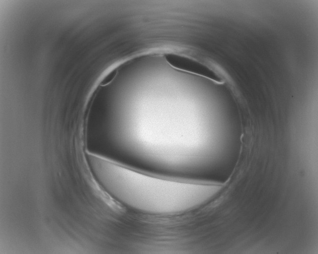 X0000083060948200702021032