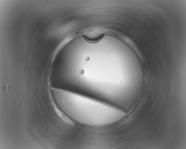 X0000083060954200702021032