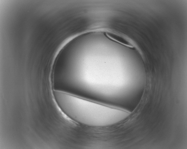 X0000083060959200702021032
