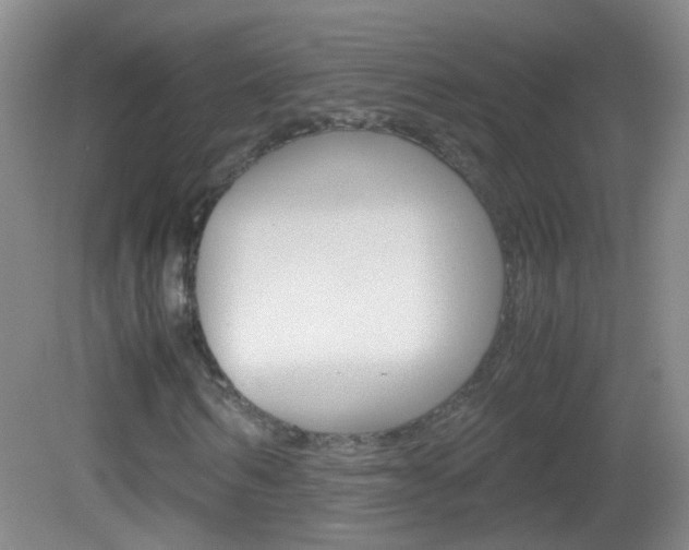 X0000083060962200702021032