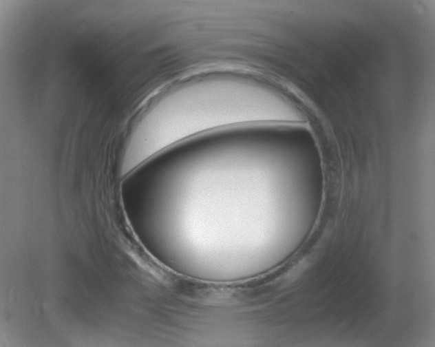 X0000083060969200702021032