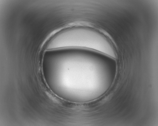 X0000083060973200702021031