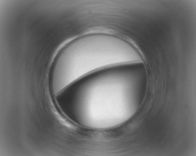X0000083060987200702021031