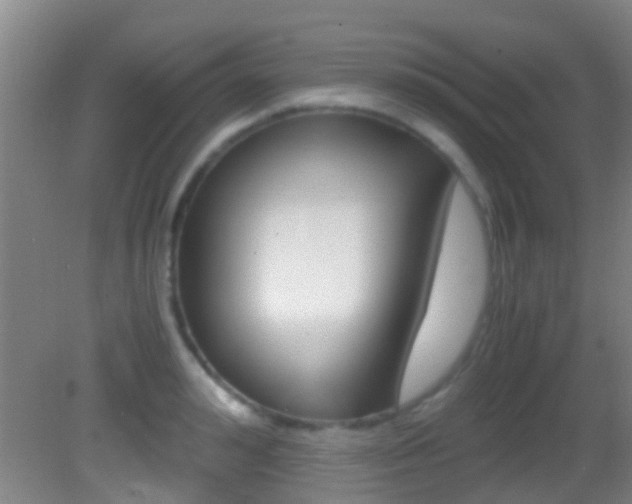 X0000083060992200702021031