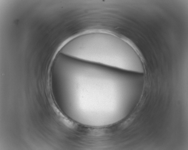 X0000083061004200702021031