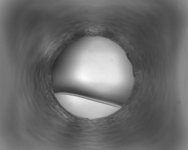 X0000083061009200702021030