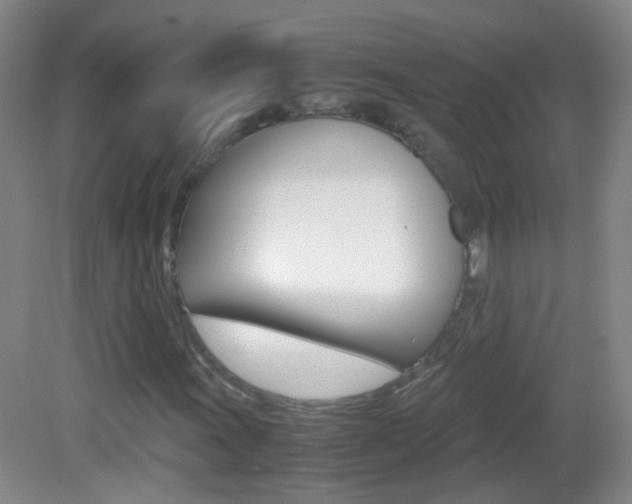 X0000083061011200702021030