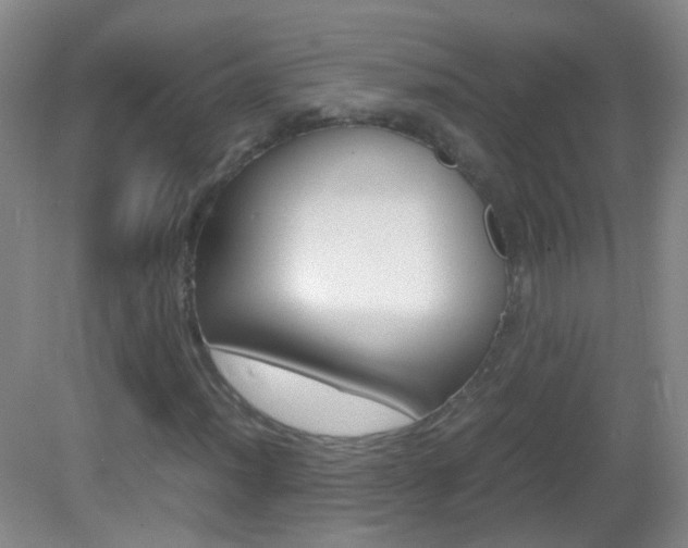 X0000083061012200702021030