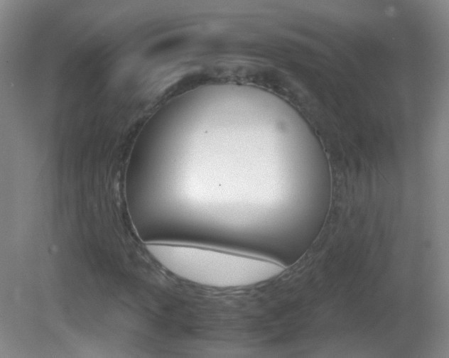 X0000083061013200702021030