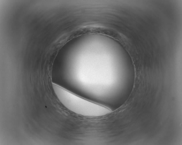 X0000083061014200702021030