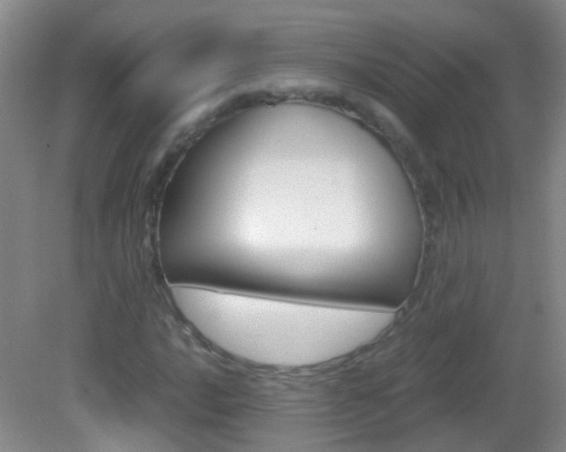 X0000083061016200702021030