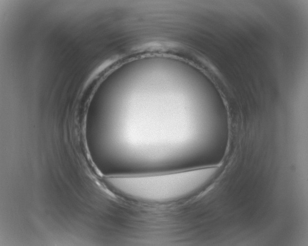 X0000083061018200702021030