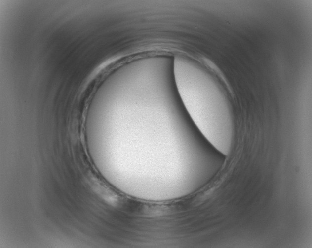 X0000083061019200702021030