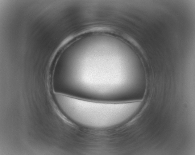 X0000083061029200702021030