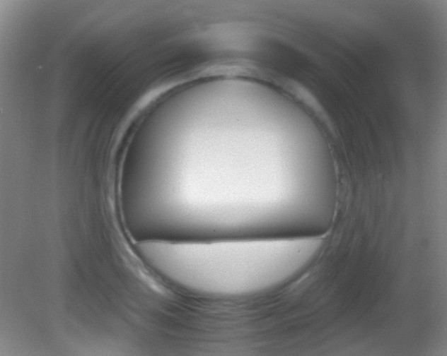 X0000083061035200702021031