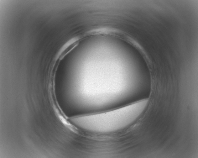 X0000083061042200702021031