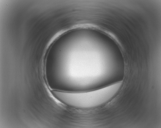 X0000083061046200702021031