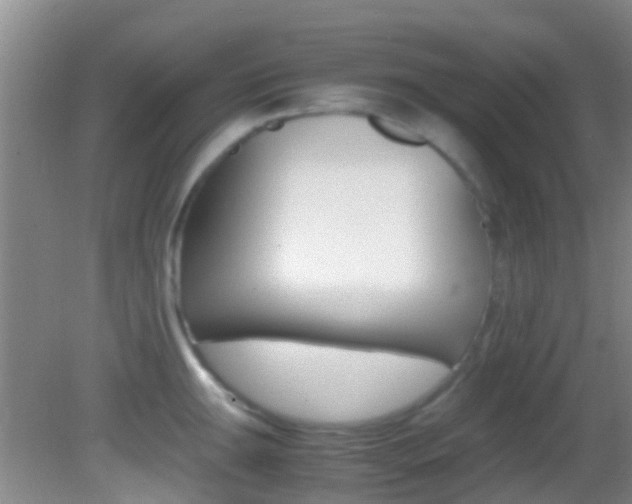 X0000083061047200702021031