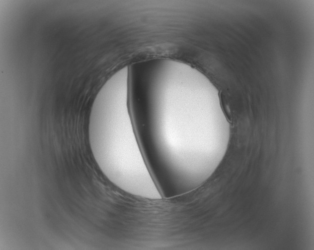 X0000083061058200702021030