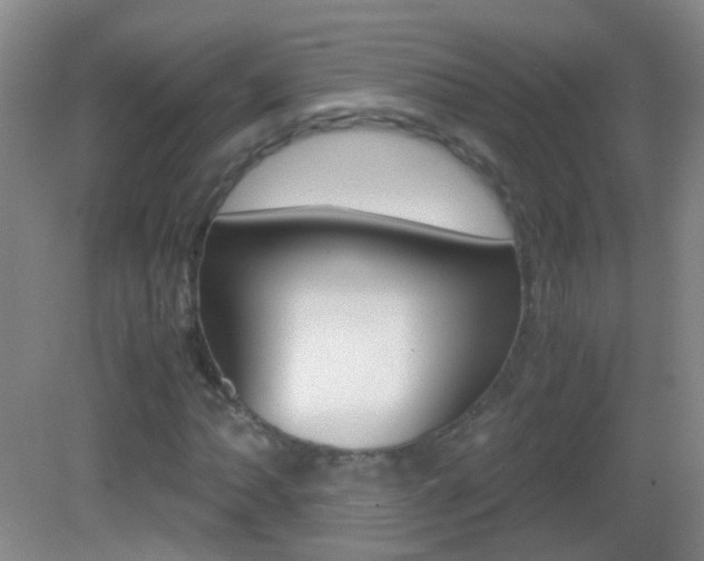 X0000083061062200702021030