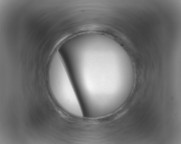 X0000083061073200702021030
