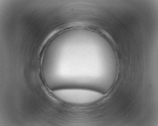 X0000083061075200702021030