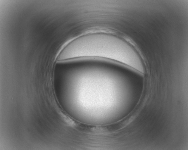 X0000083061089200702021030