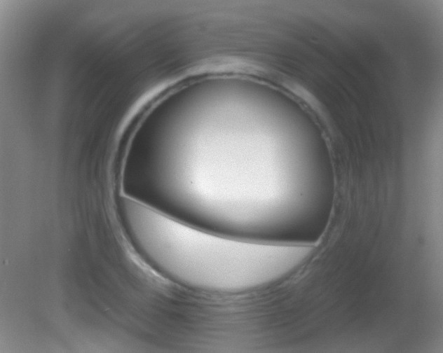 X0000083061120200702021029